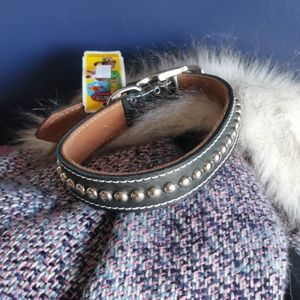 Genuine leather dog collar with silver rivets 1*20"